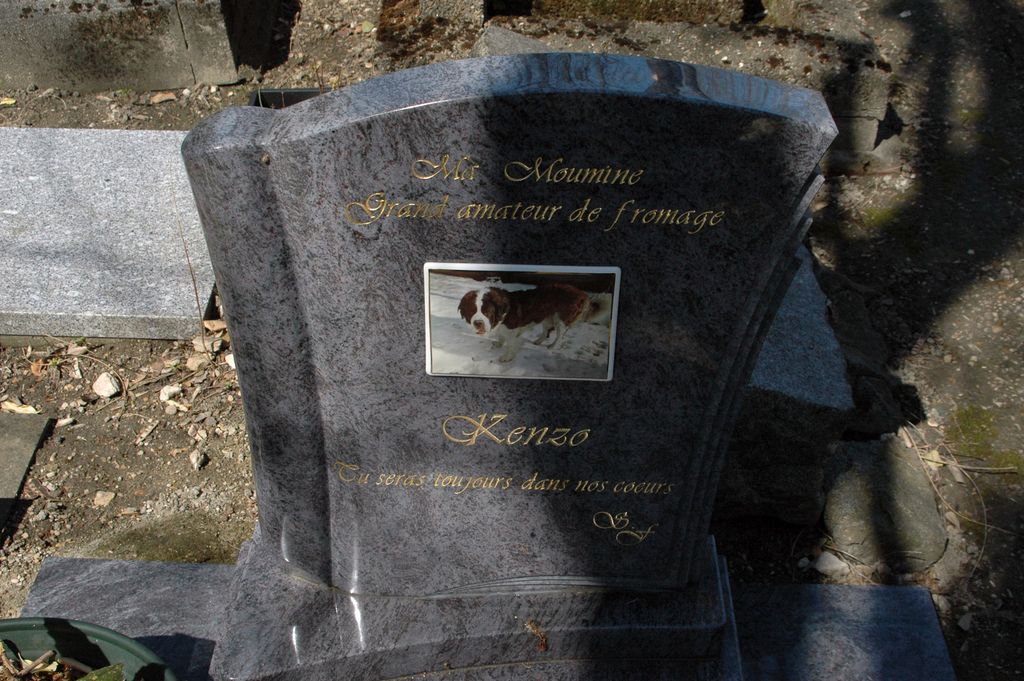 In this image I can see a graveyard with some text written on it.