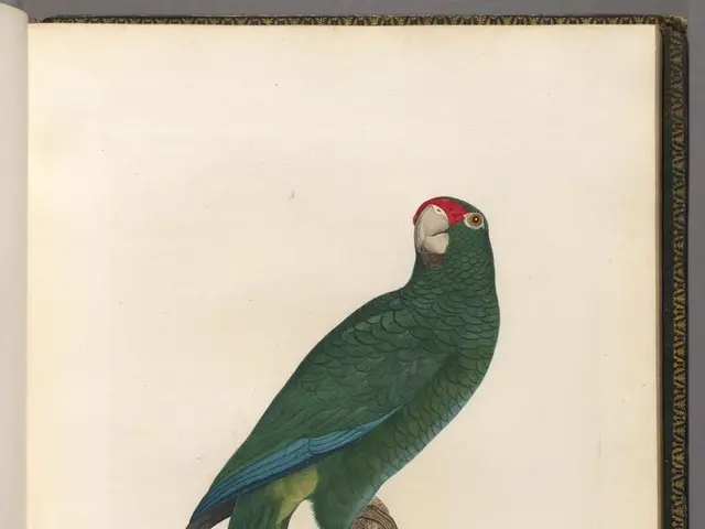 Political strategist Simon Westbury takes on advisory role at 1XBET