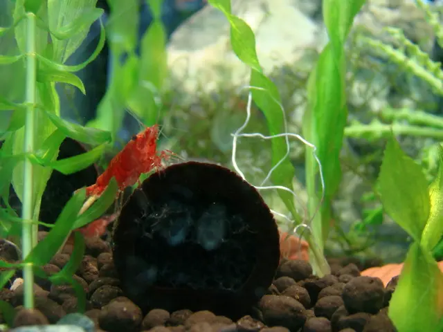 Innovative Study by Researchers Transforms Sunlight into Energy Source