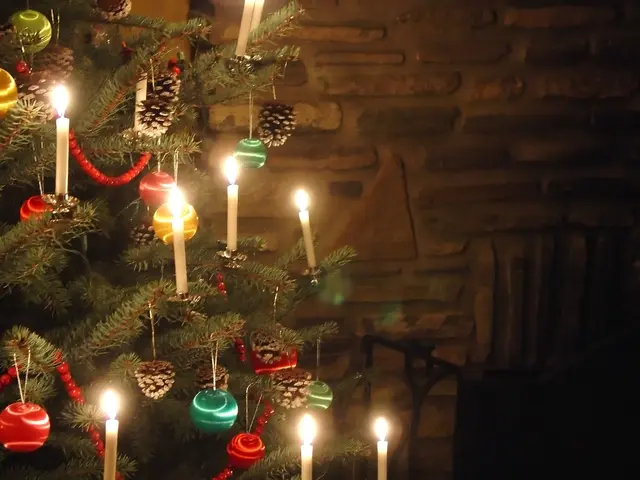 On the left side of the image there is a christmas tree with candles. In the background there is a...