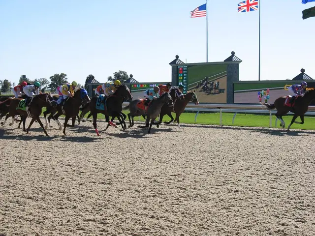 In this image a race is going on. There are many people riding horse. In the background there are...